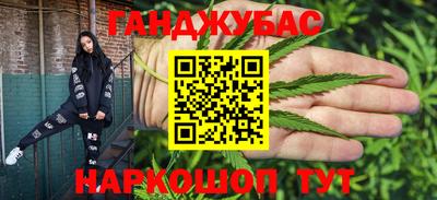 шишки Гагарин