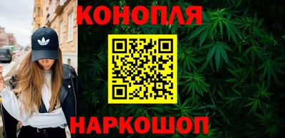шишки Гагарин