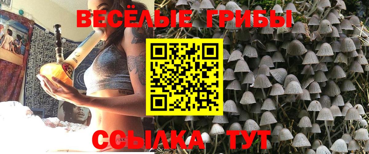 Орехово-Зуево  наркотики  Вход с VPN  Псилоцибиновые грибы Psilocybine cubensis 