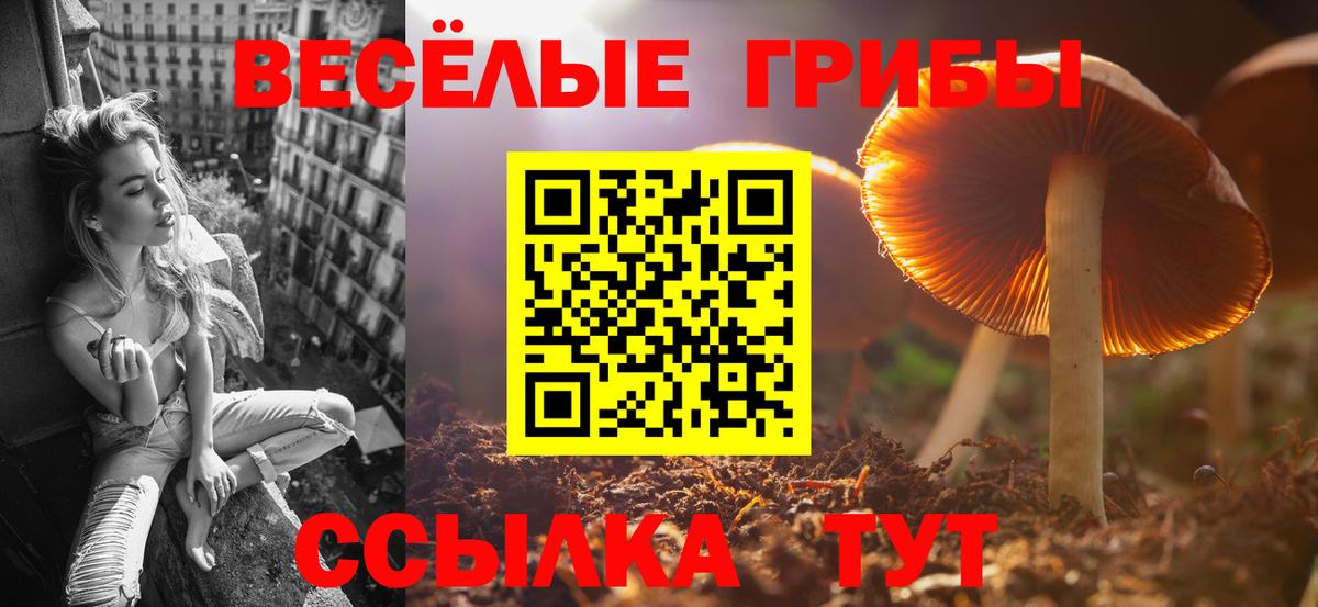 Псилоцибиновые грибы GOLDEN TEACHER Орехово-Зуево